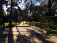 /album/fotos-del-viso/la-foto-6-jpg2/